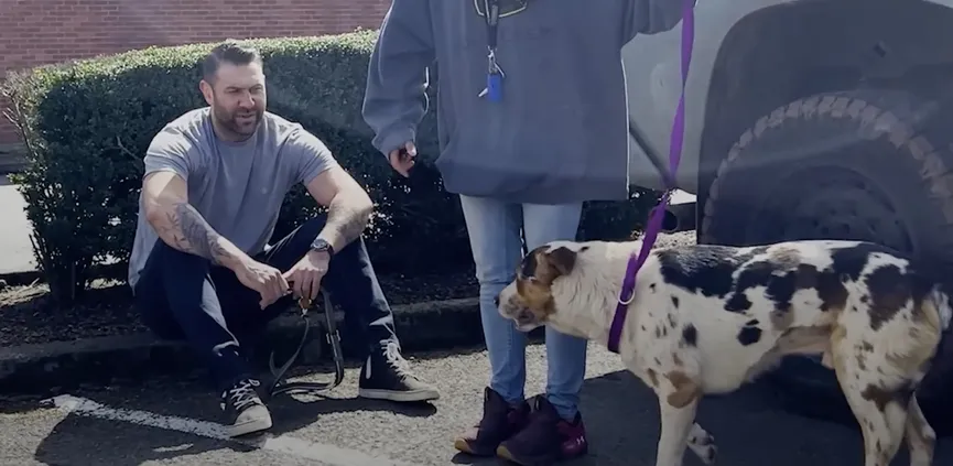 Bange eenzame hond voelt zich eindelijk veilig nadat nieuwe vader hem knuffelt 2