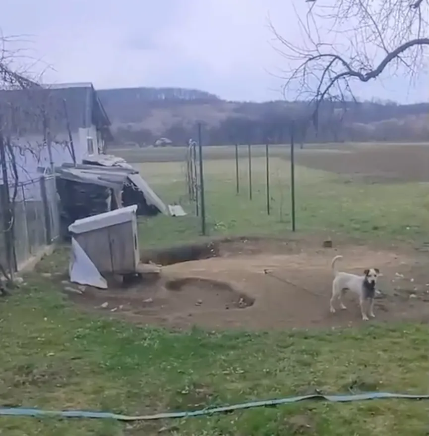 Hond zijn hele leven vastgeketeked aan zware ketting kan vreugde niet verbergen als hij zijn redder ziet 2