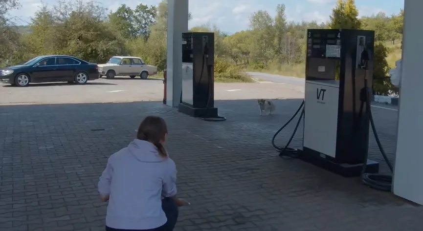 Woman tried to catch frightened dog at gas station for 6 months, then succeeded 2