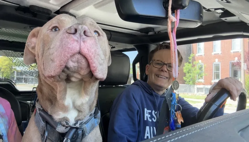 Zwerfhond volgt een man naar huis en krijgt een gelukkig einde 4